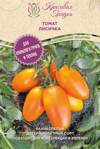 Лисичка